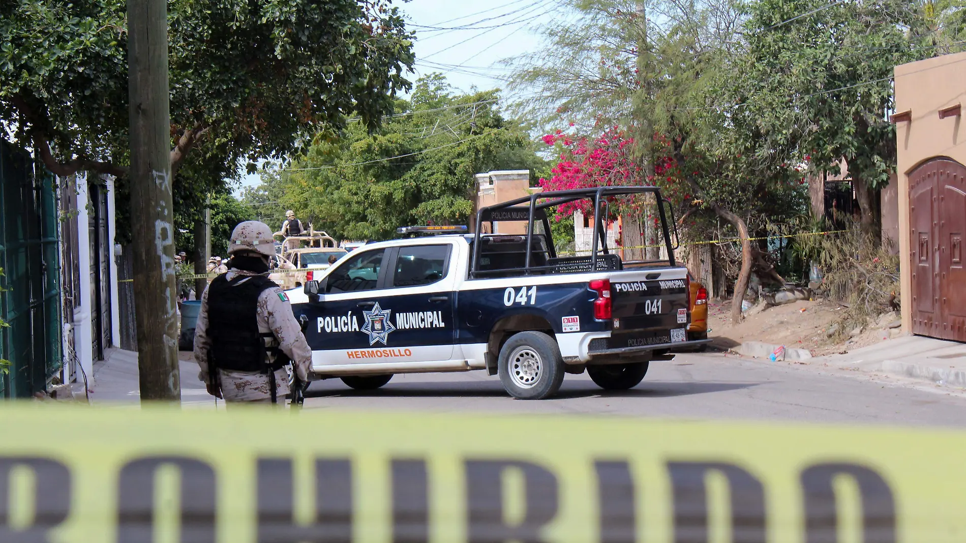 Cateo y muerto en Eusebio kino- Mike Acosta (7)